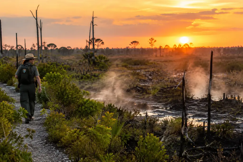 Everglades Access Updates scene with sawgrass, open road, and cloudy sky after wildfire season